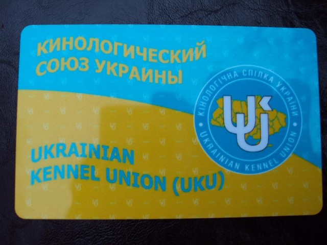 Юрий Сенча, профессиональный кинолог