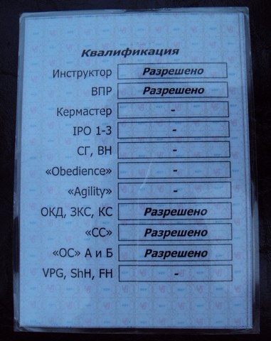 Юрий Сенча, профессиональный кинолог